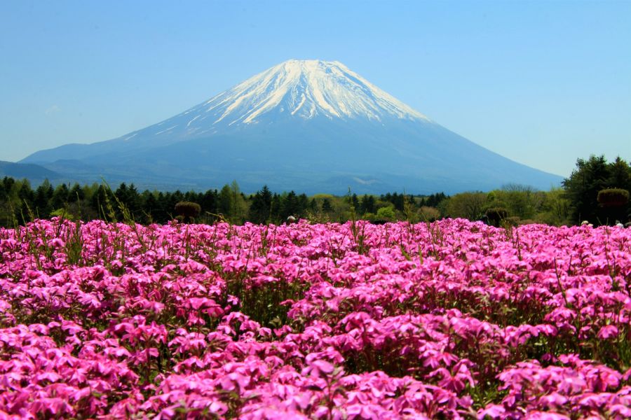 que ver en japon