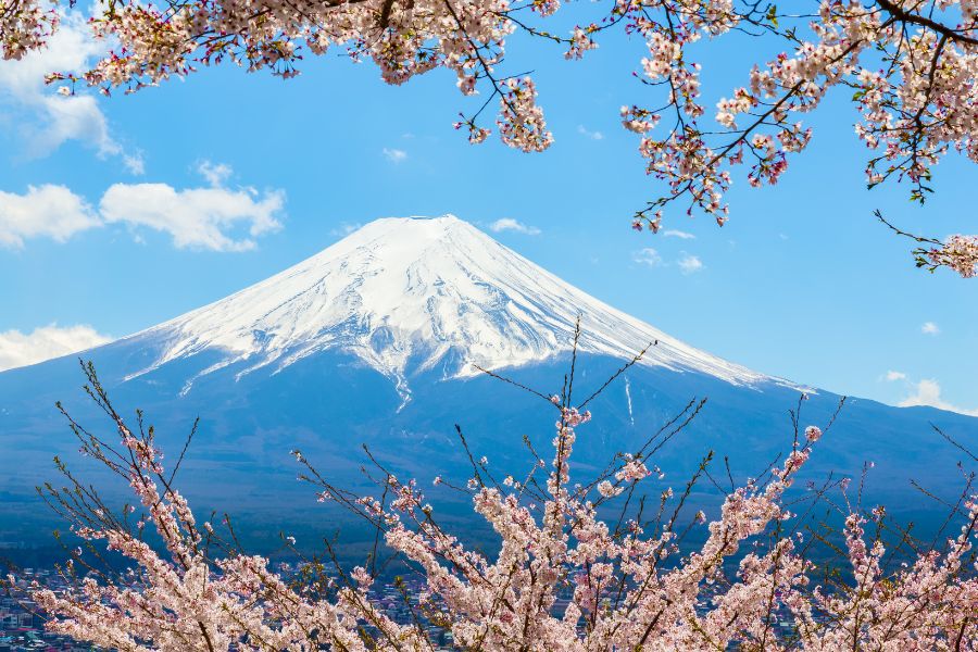 monte fuji y que ver en japon