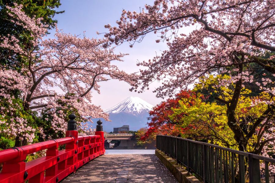 que ver en japon
